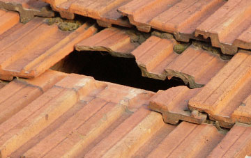 roof repair Lunanhead, Angus